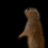 Omniscaper